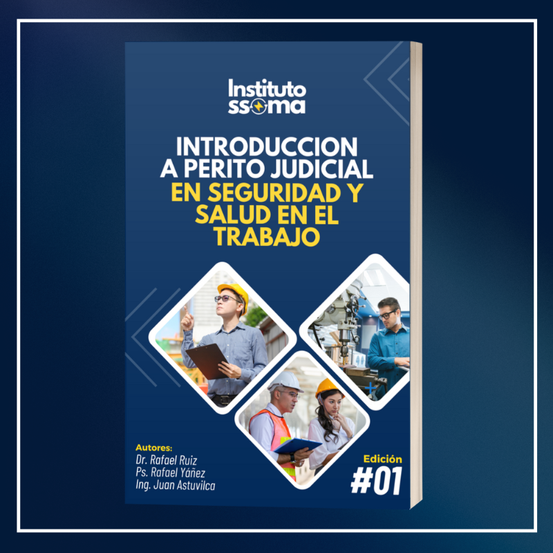 Introducción a Perito Judicial en Seguridad y Salud en el Trabajo